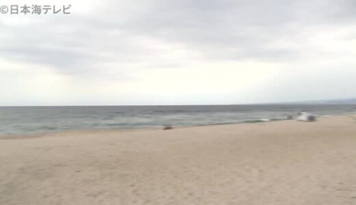 海岸で親子が流され６７歳の父親亡くなる　４０歳の息子を助けようと海に　鳥取県米子市