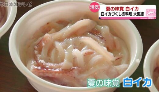 夏の味覚白イカが不漁…それでも祭りは開催　鳥取県鳥取市
