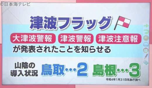 津波警報などを知らせる津波フラッグとは？【気象予報士・福山記者の解説】
