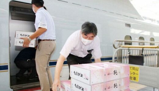 岡山県産白桃 新幹線で名古屋へ　コロナ禍のJR 空きスペース活用