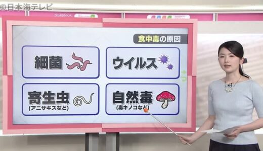 夏の食中毒　特に細菌に注意を　予防法は？　エアコン効いた部屋でも安心しちゃダメ