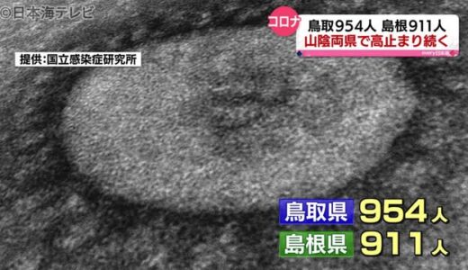 新型コロナ：山陰両県で３桁の感染を確認　（８月２４日山陰詳細情報）