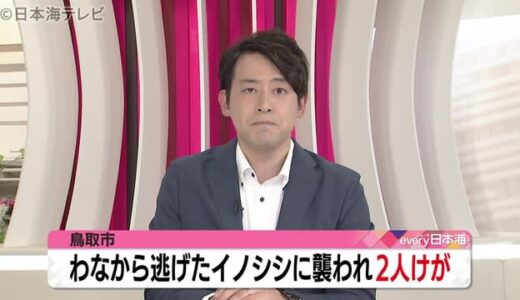 男性２人が罠にかかったイノシシに襲われる　鳥取県鳥取市