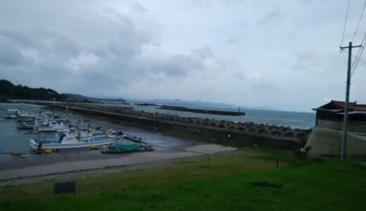 台風１１号が山陰地方に接近　高潮・暴風・波浪警報発表　街路樹が折れトタン屋根飛ぶ被害など確認
