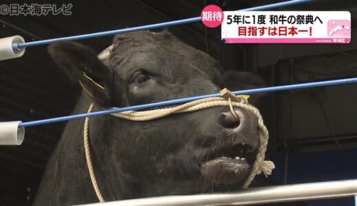 和牛五輪　鳥取県代表和牛、鹿児島へ出発　前回大会では“肉質日本一”の栄誉　