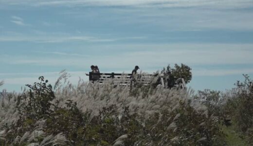 蒜山高原で秋風に揺れるススキが見頃　風景が楽しめる展望スポットも　岡山