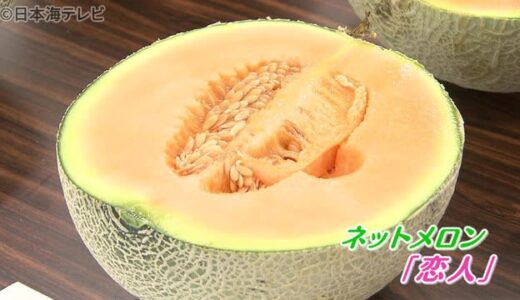 「味は最高！」抑制ネットメロンの査定会　鳥取県倉吉市