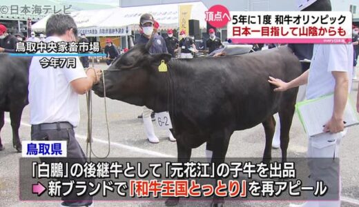 ２大会連続日本一へ　全国和牛能力共進会　鹿児島県で開催　鳥取県・島根県からも２１頭ずつ出場