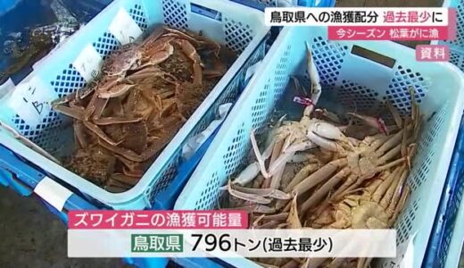 今シーズンの松葉がに漁　鳥取県に配分される漁獲可能量は過去最少