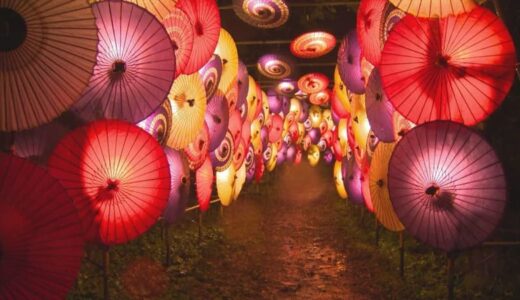 大山寺に幻想的な傘の花　「大献灯和傘灯り」　鳥取・大山町
