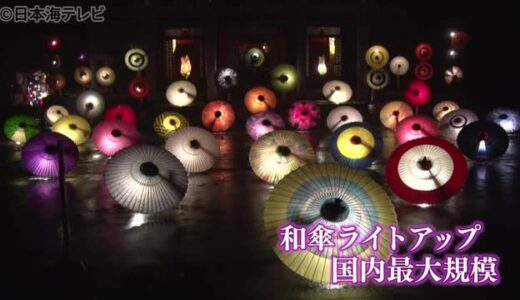 幻想的な光　“大山の大献灯”鳥取県大山町