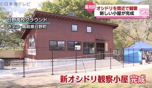 冬の使者…鳥取県日野町のオシドリ観察小屋　ログハウス調に生まれ変わる