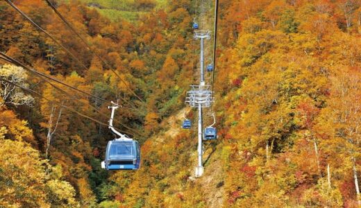 【今週末見頃の紅葉スポット】宮城の鳴子峡・鳥取の大山・大分のくじゅう連山｜2022年10月29日〜