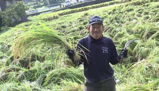 元プロ野球選手・川口和久さん「自分で作ったコメ食べる喜び」故郷で米作り…移住促進にも貢献【鳥取発】