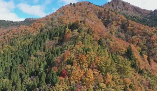 深緑と紅葉のコントラスト…氷ノ山　鳥取県若桜町