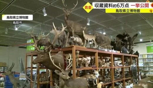 「全国でも例がない」昆虫標本から家老日記まで…鳥取ゆかりの作品を一挙に６万点展示（鳥取・鳥取市）