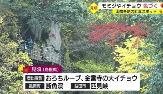 奥出雲町の鬼の舌震や奥出雲町のおろちループなど山陰各地の紅葉見ごろ情報
