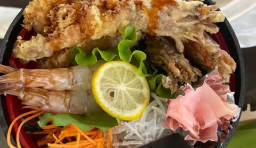幻のエビをつかった贅沢「猛者エビ丼」！海岸沿いを巡る岩美町ツアー体験記｜鳥取