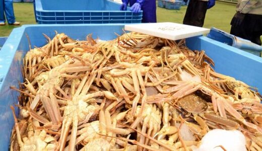 全国最多なのに　〝代表〟の地味な船出　【コラム・明窓】