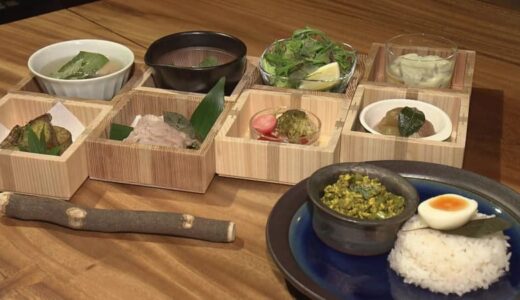 古代の薬草文化を起爆剤に“もう1泊”　サウナにヨガ…国産ハーブ「クロモジ」を全身で体験【島根発】