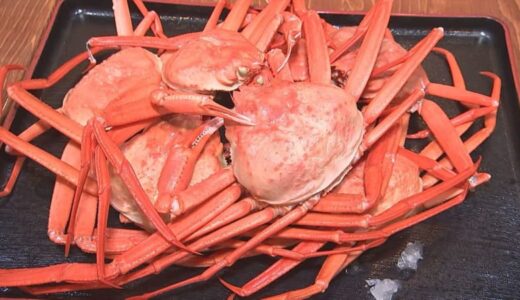 出れば出るほど赤字に…ほぼボランティア状態　ベニズワイガニ高騰で食べ放題などを値上げ「店がつぶれる、仕方ない」