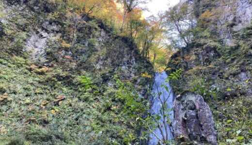 国府町「雨滝」の紅葉が見頃を迎えています（11月10日撮影）｜鳥取市