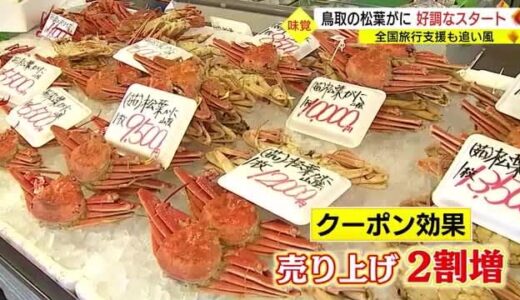全国旅行支援も追い風　解禁から１０日松葉がにの売れ行き好調（鳥取・鳥取市）