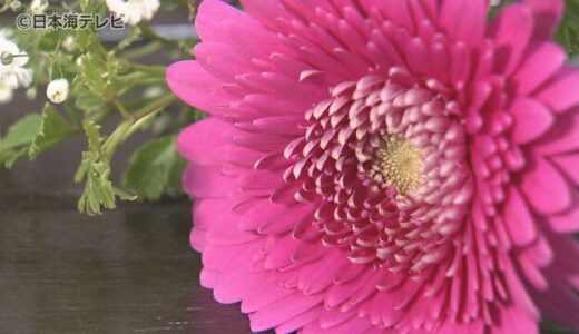 いい夫婦の日　日頃の感謝を花に込めて　　生花店は大忙し　鳥取県米子市
