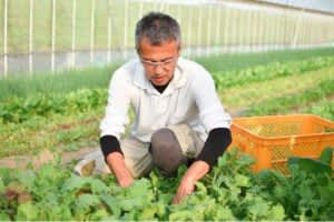 岡山県真庭市に移住した大塚さんに伺いました。移住者が農業を始めて食べていけますか？ーその答えがこのインタビューにあります。移住して農業ーそのありまま…