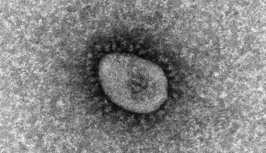 沖縄コロナ789人、前週より80人増　病床使用率は33％（12月15日午後）