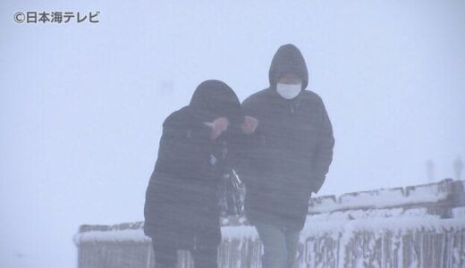 「砂どこ？」鳥取砂丘で吹雪　観光客も困惑　鳥取県鳥取市