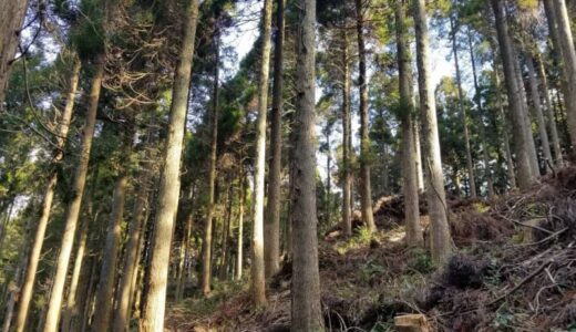 第23回グリーン購入大賞で東急不動産が大賞・環境大臣賞、地域社会に再エネ促進を積極展開