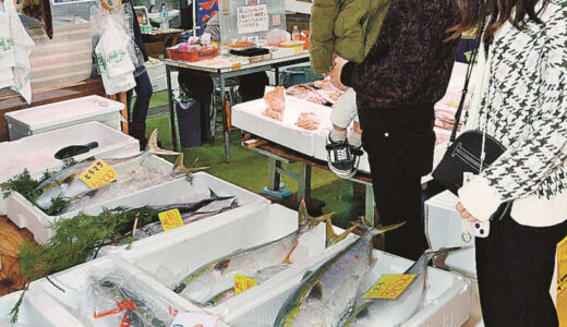 物価高騰に不漁　縁起物の「正月ブリ」が高値に　消費者はため息「半身か、別の魚に…」