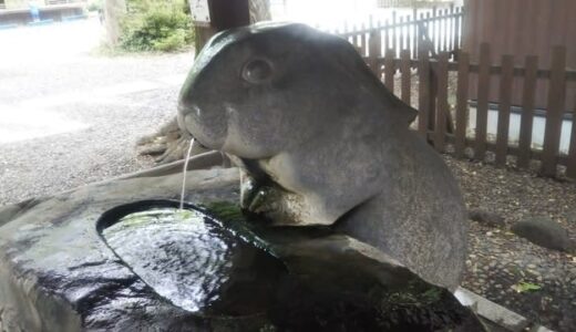 ウサギは「つき(運)を招く」!? 全国の〝ウサギ神社〟を紹介、縁結びや傷の治癒などご利益も