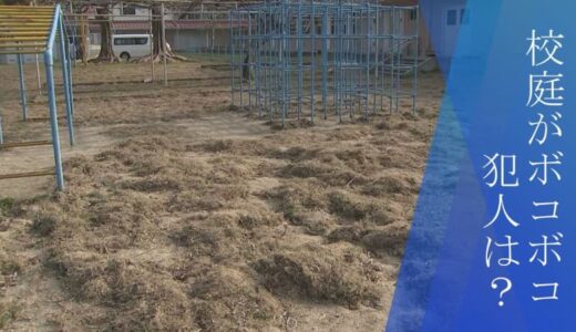 冬休みの小学校校庭がボコボコに荒らされる…犯人は「イノシシ」　２か月間で被害約10回