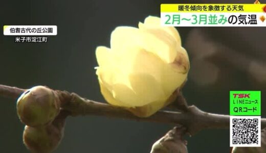 【週末の天気】土日は冬型で天気ぐずつく見込み　はたちの集いは寒さ対策で出席を（島根県・鳥取県）