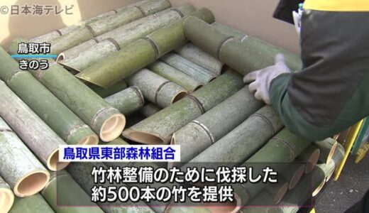 阪神淡路大震災の追悼式典に使う竹を提供　鳥取県東部森林組合