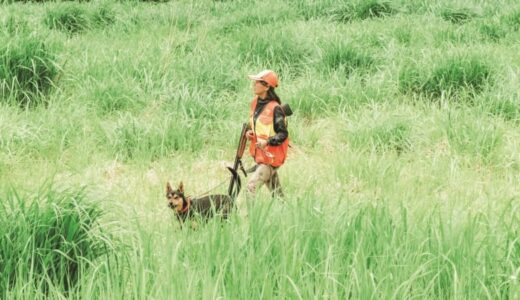 元会社員の女性がイノシシ肉に魅せられ猟師に。“孫ターン”した鳥取での狩猟ライフとオススメ調理法