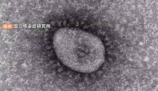 【新型コロナ】鳥取県で感染者２人の死亡確認 累計２０９人に