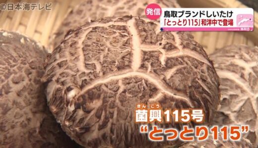鳥取生まれブランドしいたけを様々な料理で　和・洋・中のジャンル１８店舗でオリジナル料理を提供中　鳥取県