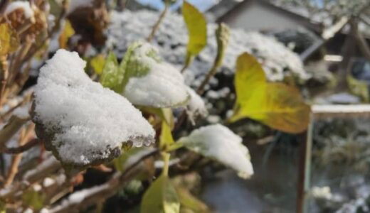「撮影できてない…」番組で起きた事件をガンバレルーヤよしこが陶芸で表現！【冠ルーヤ】