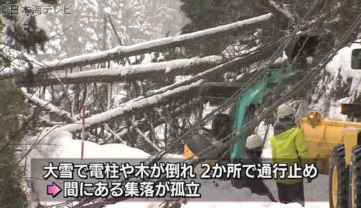 倒木が道ふさぎ…鳥取市で約３６０世帯孤立　国道４８２号沿いの７集落　２８日午後５時現在も復旧作業中