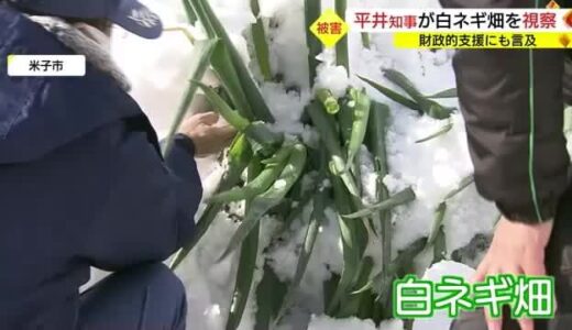 「３００万円分を廃棄しないといけない」大雪で白ネギに被害　平井知事が現場視察（鳥取・米子市）