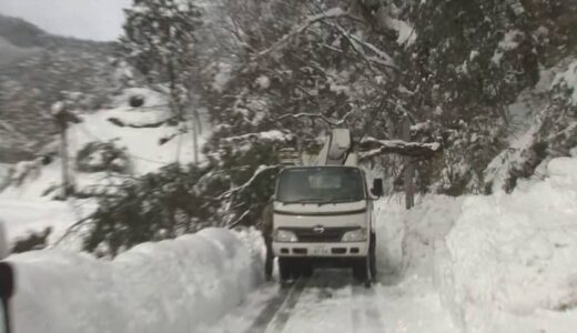 山間の３世帯７人「孤立状態」続く…大雪による倒木が道ふさぐ 鳥取県