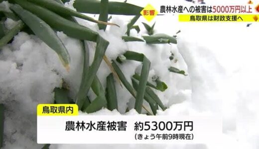 大雪の農林水産業被害は５０００万円以上「機動的、弾力的に対応」平井知事が対応方針明らかに（鳥取）