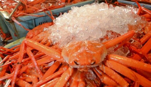 水揚げ日本一の鳥取　１匹でも１杯でもないカニの数え方　「平べったいから」「魚やイカと区別するため」「松葉にちなんで」由来に諸説あり