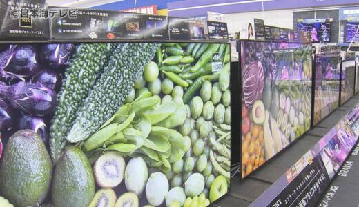 中には５０％増も…家電量販店で値上げの波　人気商品に変化も　鳥取県鳥取市