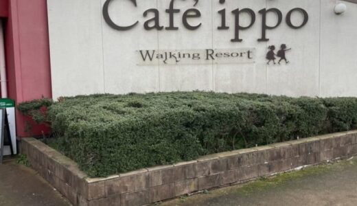［Cafe ippo］自家製ソースかけていただくクレープを食べてトリコに！レイクビューテラス席あり｜湯梨浜町