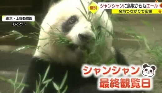 さようなら…元気でシャンシャン！「しゃんしゃん祭り」つながりPRに活用　鳥取から感謝の声とエール