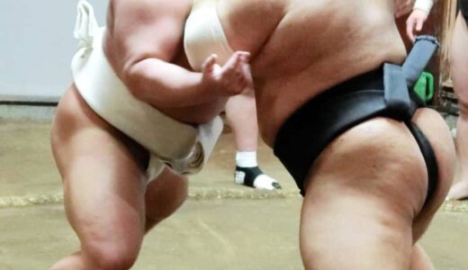新十両・落合　白まわし着用「実感湧いてきた」どんどん汚して強くなっていく